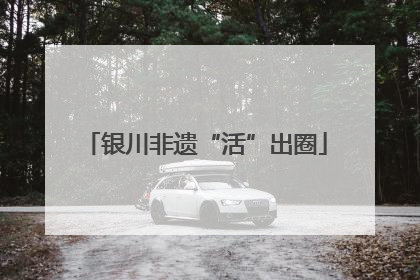 银川非遗“活”出圈