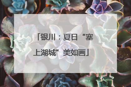 银川：夏日“塞上湖城”美如画