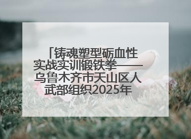 铸魂塑型砺血性 实战实训锻铁拳——乌鲁木齐市天山区人武部组织2025年度民兵集中轮训