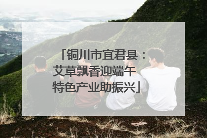 铜川市宜君县：艾草飘香迎端午 特色产业助振兴