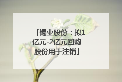 锡业股份：拟1亿元-2亿元回购股份用于注销