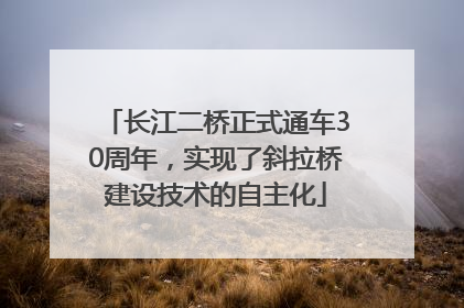 长江二桥正式通车30周年，实现了斜拉桥建设技术的自主化