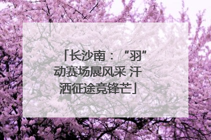 长沙南：“羽”动赛场展风采 汗洒征途竞锋芒