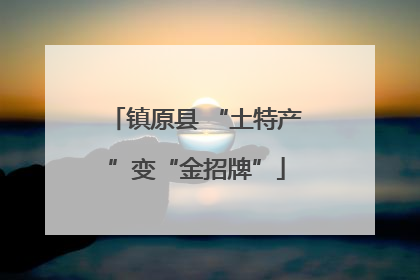 镇原县 “土特产”变“金招牌”