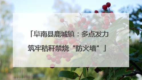 阜南县鹿城镇：多点发力 筑牢秸秆禁烧“防火墙”