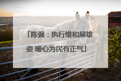 陈强：执行维和展雄姿 暖心为民有正气