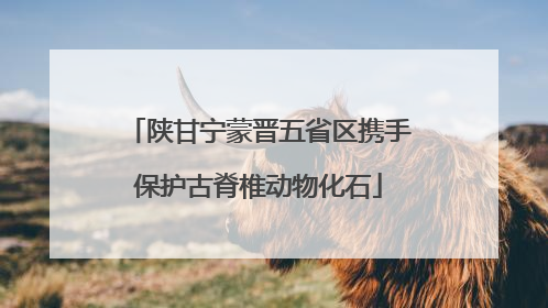 陕甘宁蒙晋五省区携手保护古脊椎动物化石