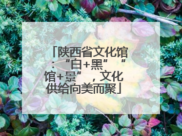 陕西省文化馆：“白+黑”“馆+景”，文化供给向美而聚