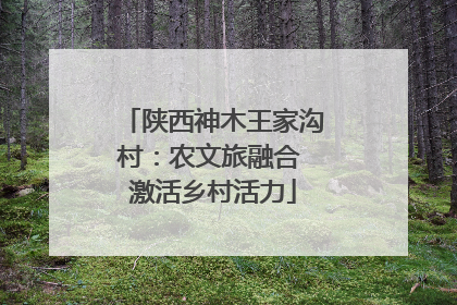 陕西神木王家沟村：农文旅融合 激活乡村活力