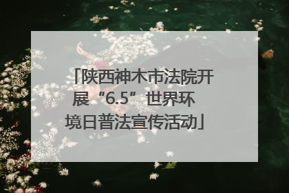 陕西神木市法院开展“6.5”世界环境日普法宣传活动