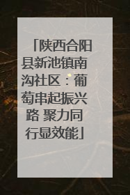 陕西合阳县新池镇南沟社区：葡萄串起振兴路 聚力同行显效能