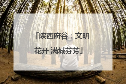 陕西府谷：文明花开 满城芬芳