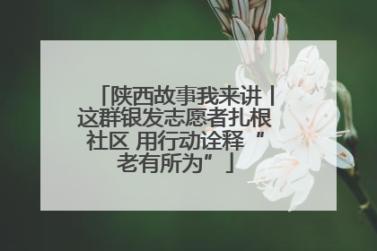陕西故事我来讲丨这群银发志愿者扎根社区 用行动诠释“老有所为”