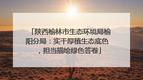 陕西榆林市生态环境局榆阳分局：实干厚植生态底色，担当描绘绿色答卷