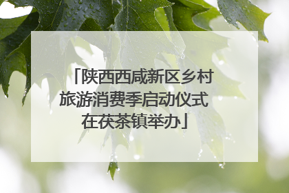 陕西西咸新区乡村旅游消费季启动仪式在茯茶镇举办