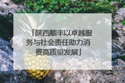 陕西顺丰以卓越服务与社会责任助力消费高质量发展