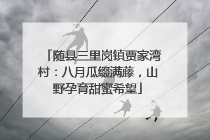 随县三里岗镇贾家湾村：八月瓜缀满藤，山野孕育甜蜜希望