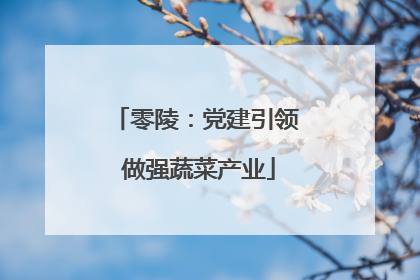 零陵：党建引领 做强蔬菜产业