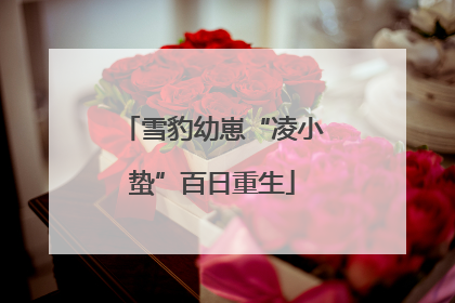 雪豹幼崽“凌小蛰”百日重生
