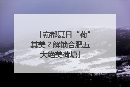 霸都夏日“荷”其美？解锁合肥五大绝美荷塘