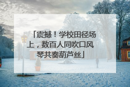 震撼！学校田径场上，数百人同吹口风琴共奏葫芦丝