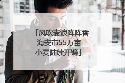 风吹麦浪阵阵香 海安市55万亩小麦陆续开镰