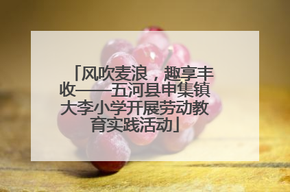 风吹麦浪，趣享丰收——五河县申集镇大李小学开展劳动教育实践活动