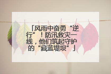 风雨中奋勇“逆行”！防汛救灾一线，他们筑起守护的“藏蓝堤坝”