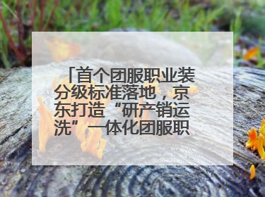 首个团服职业装分级标准落地，京东打造“研产销运洗”一体化团服职业装解决方案