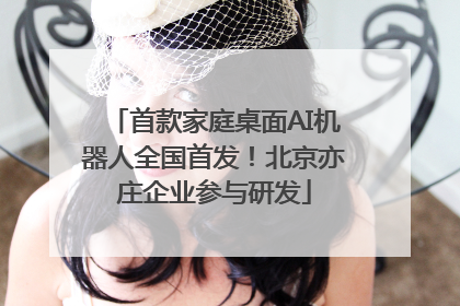 首款家庭桌面AI机器人全国首发！北京亦庄企业参与研发