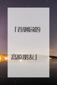 首钢园的高原朋友