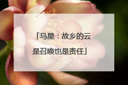 马星：故乡的云是召唤也是责任