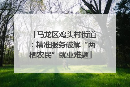 马龙区鸡头村街道：精准服务破解“两栖农民”就业难题
