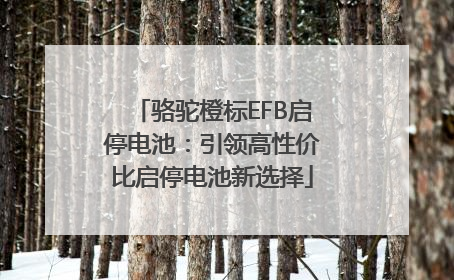 骆驼橙标EFB启停电池：引领高性价比启停电池新选择