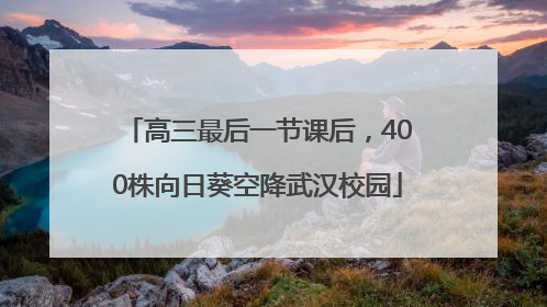 高三最后一节课后，400株向日葵空降武汉校园