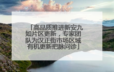 高品质推进新安九如片区更新，专家团队为汉正街市场区域有机更新把脉问诊