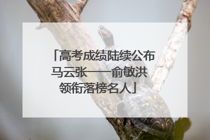 高考成绩陆续公布 马云张一一俞敏洪领衔落榜名人