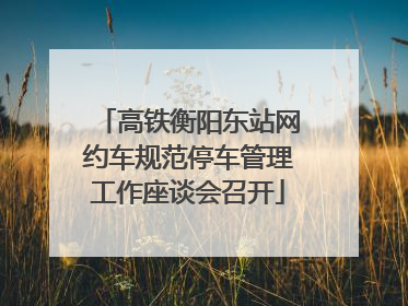高铁衡阳东站网约车规范停车管理工作座谈会召开