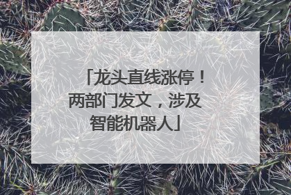 龙头直线涨停！两部门发文，涉及智能机器人