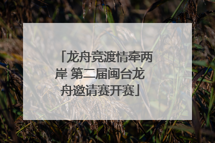 龙舟竞渡情牵两岸 第二届闽台龙舟邀请赛开赛
