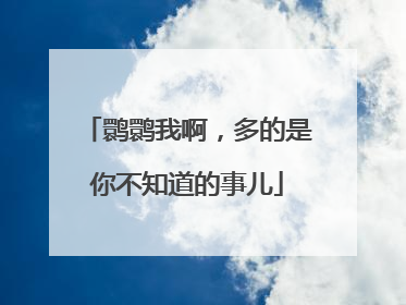 鹮鹮我啊，多的是你不知道的事儿