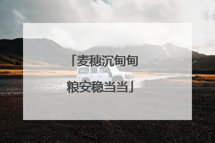 麦穗沉甸甸 粮安稳当当