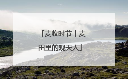 麦收时节丨麦田里的观天人