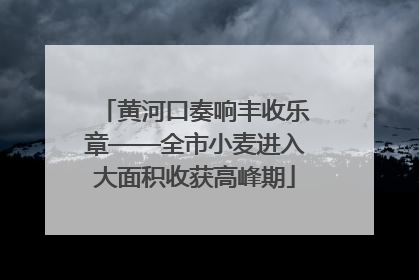 黄河口奏响丰收乐章——全市小麦进入大面积收获高峰期