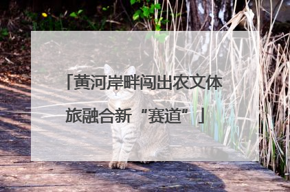黄河岸畔闯出农文体旅融合新“赛道”