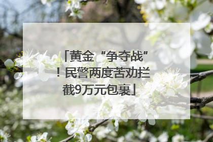 黄金“争夺战”！民警两度苦劝拦截9万元包裹
