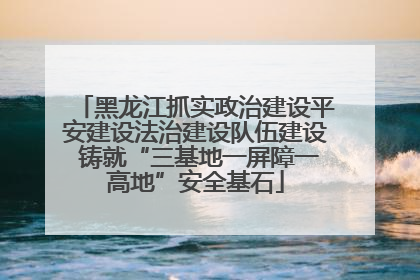 黑龙江抓实政治建设平安建设法治建设队伍建设 铸就“三基地一屏障一高地”安全基石