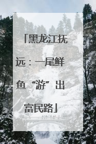 黑龙江抚远：一尾鲜鱼“游”出富民路