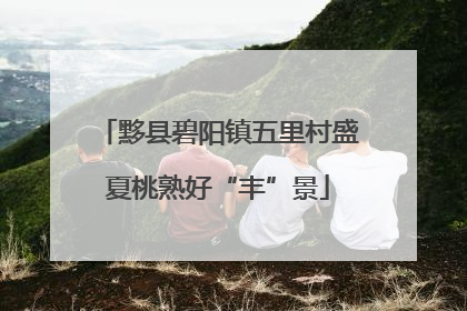 黟县碧阳镇五里村盛夏桃熟好“丰”景