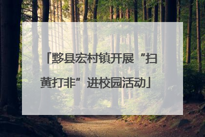 黟县宏村镇开展“扫黄打非”进校园活动